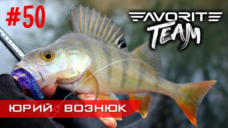 ЮБИЛЕЙНЫЙ 50-й ВЛОГ! Зимний спиннинг на малых речка. Favorite Team