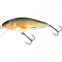 Perch