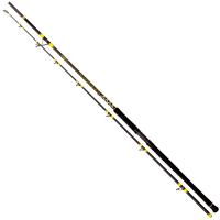 Passion Pro DX
